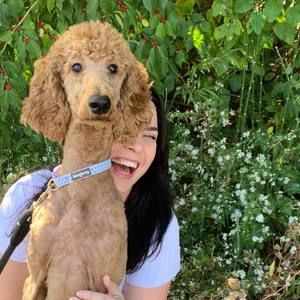 Meet your Posher, Brittany